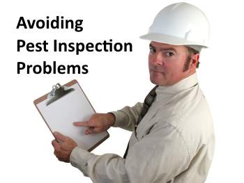 Avoid pest inspection woes for sale by owner