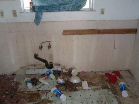 Expensive Kitchen Repairs