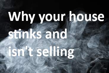 Why your house stinks and isn't selling